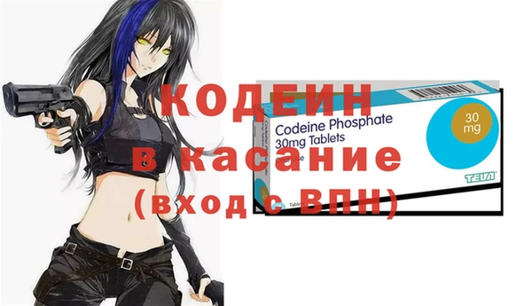 молекула духа Арсеньев