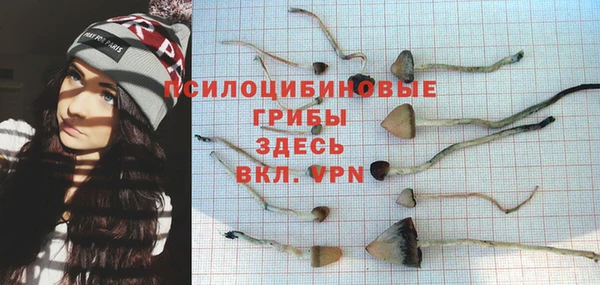 стаф Богородск