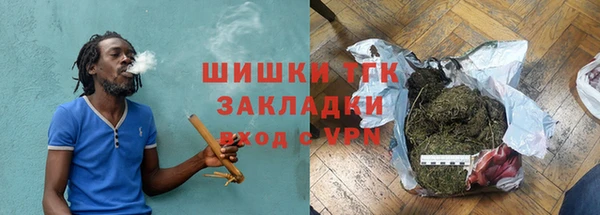 стаф Богородск