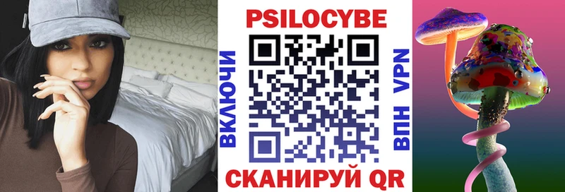 hydra как войти Новый Оскол Псилоцибиновые грибы Magic Shrooms